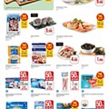 eci super 11 a 24 setembro p14.jpg